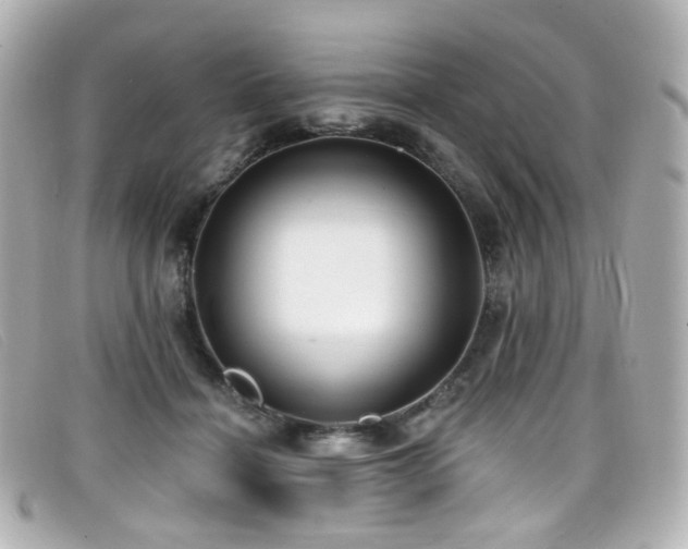 X0000099440460200805091316