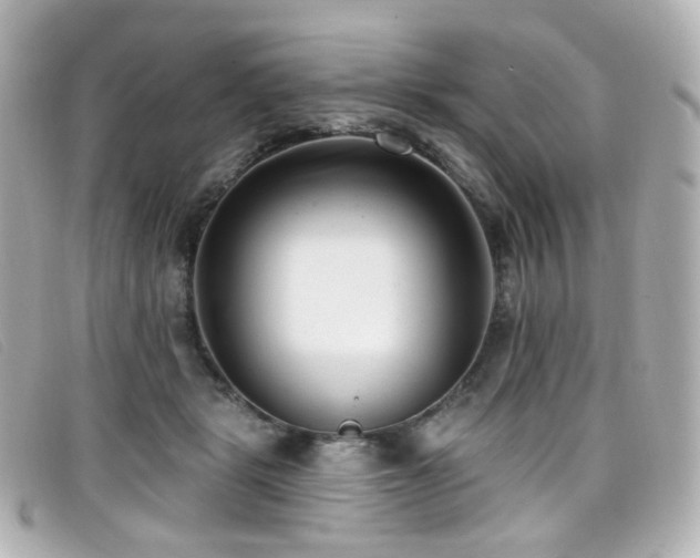 X0000099440461200805091316