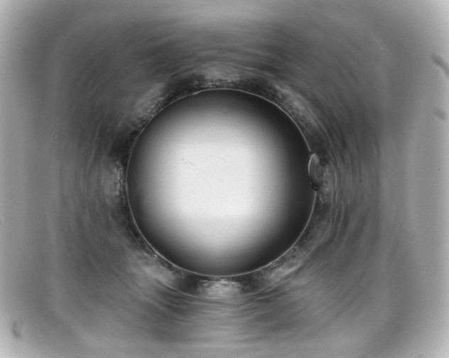 X0000099440463200805091316
