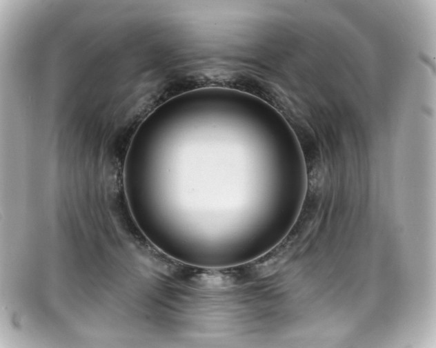 X0000099440464200805091316