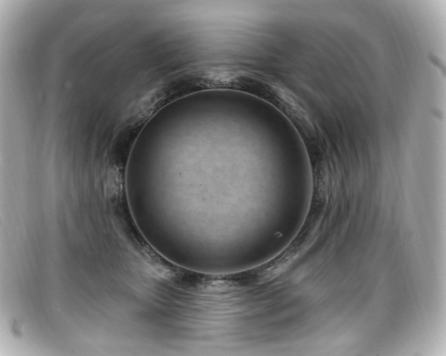 X0000099440467200805091316