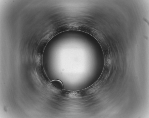 X0000099440468200805091316