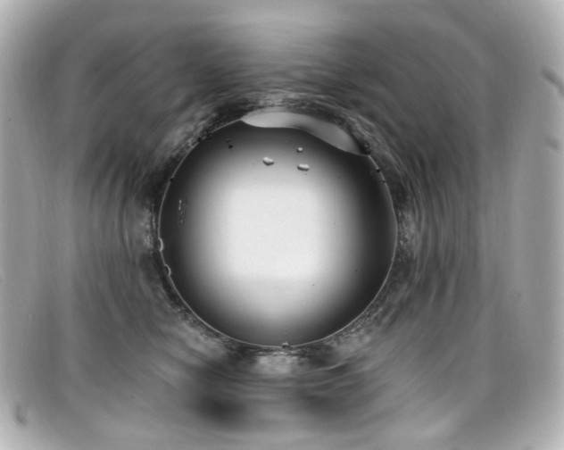 X0000099440470200805091316