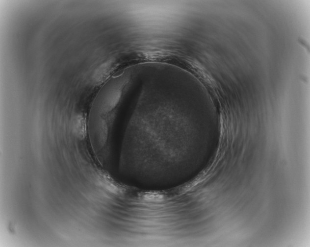 X0000099440471200805091316