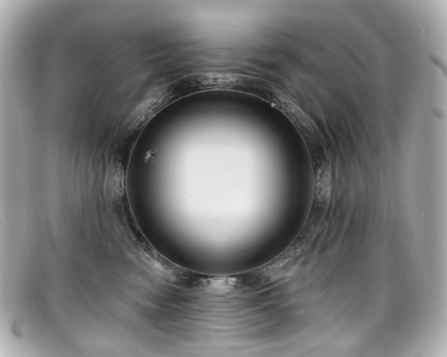 X0000099440474200805091316