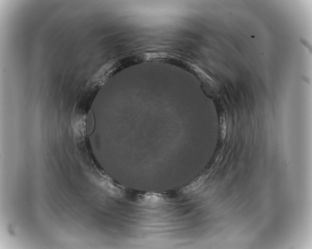 X0000099440475200805091316