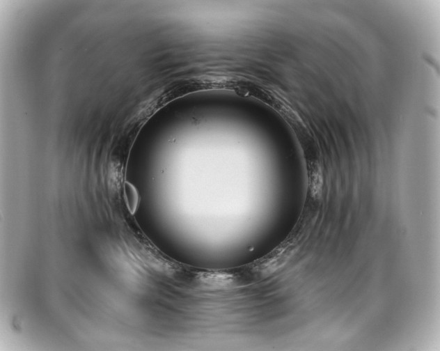 X0000099440476200805091316