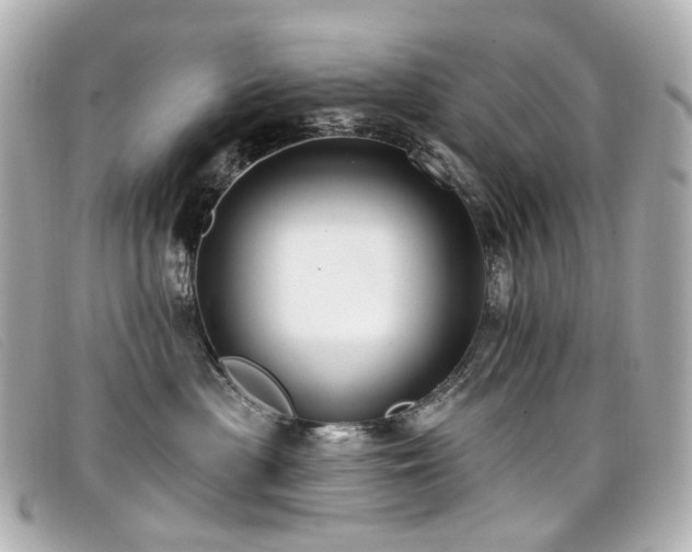 X0000099440477200805091316