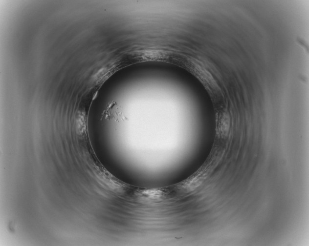 X0000099440478200805091316