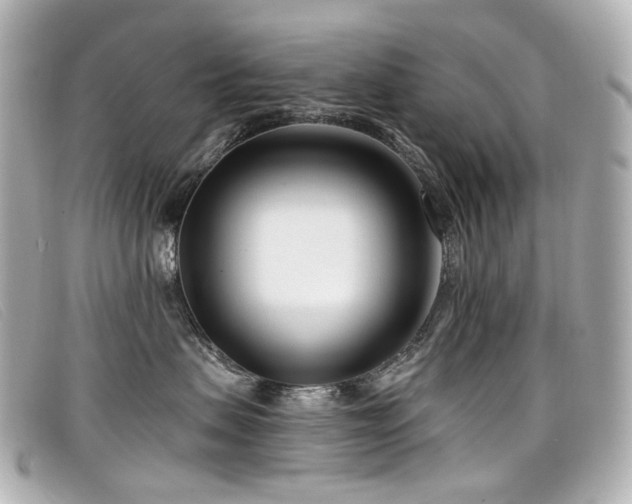 X0000099440479200805091316