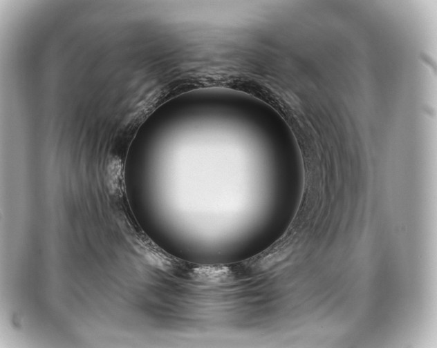 X0000099440480200805091317