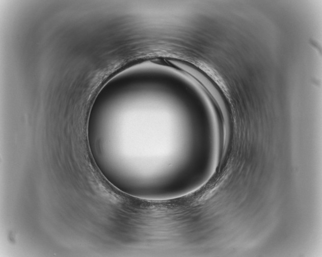 X0000099440481200805091316