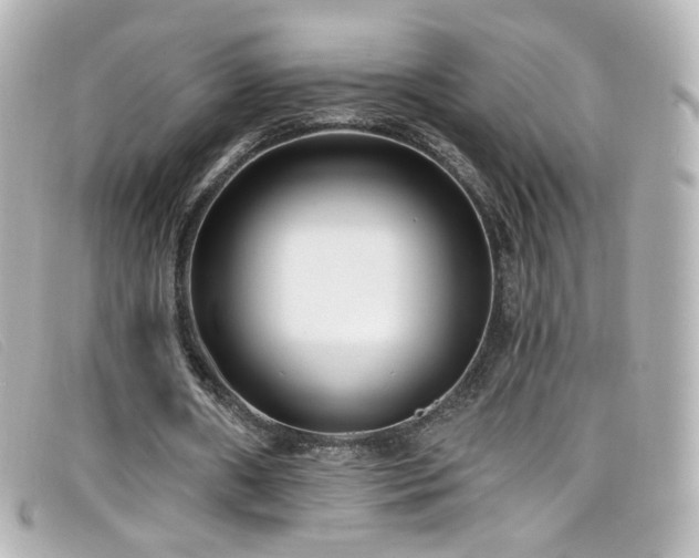 X0000099440482200805091316