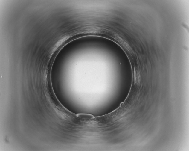 X0000099440483200805091316
