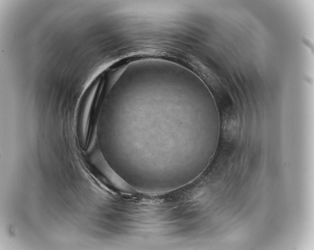 X0000099440484200805091316