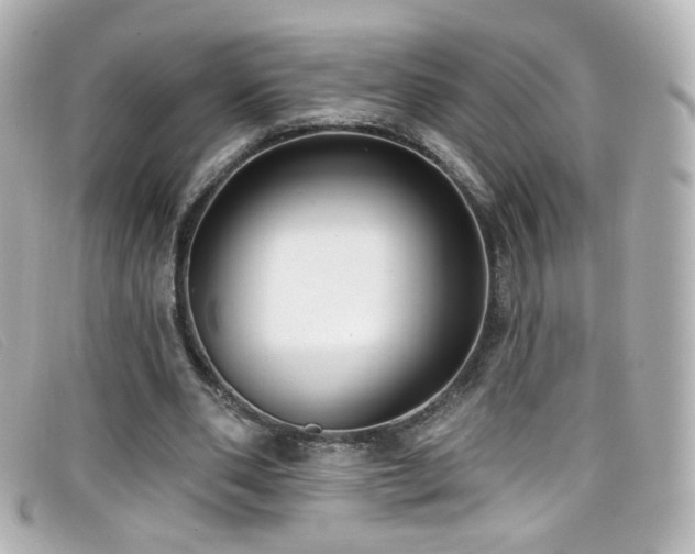 X0000099440486200805091316