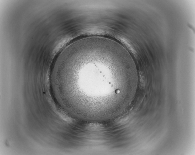X0000099440487200805091316
