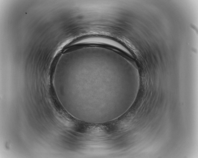 X0000099440488200805091316
