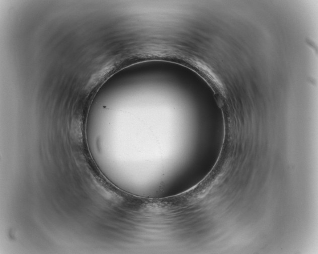 X0000099440489200805091316