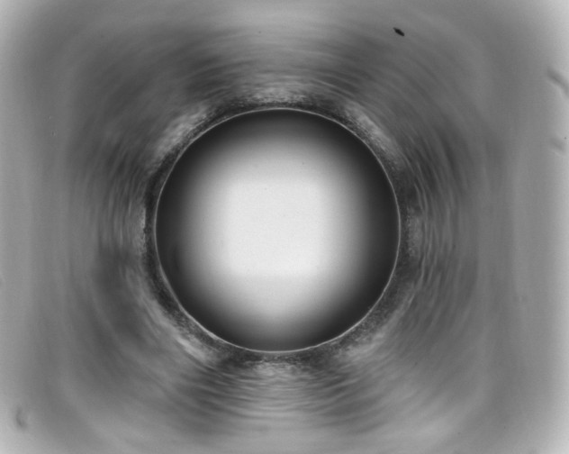 X0000099440490200805091316