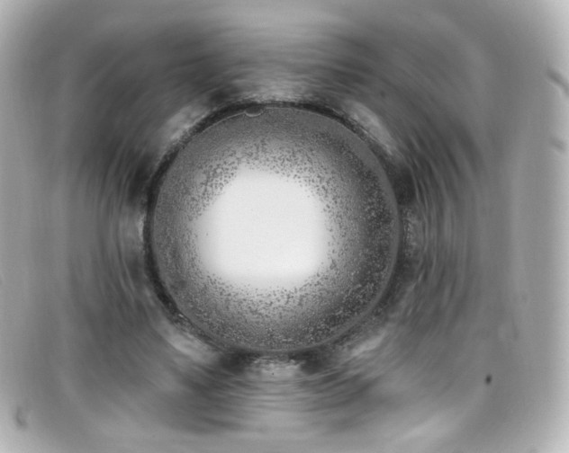 X0000099440491200805091316