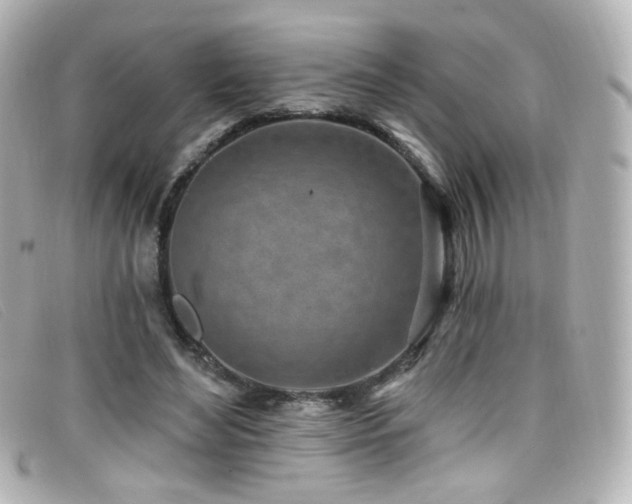 X0000099440492200805091316