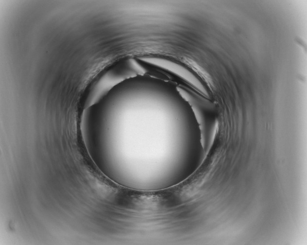 X0000099440493200805091316