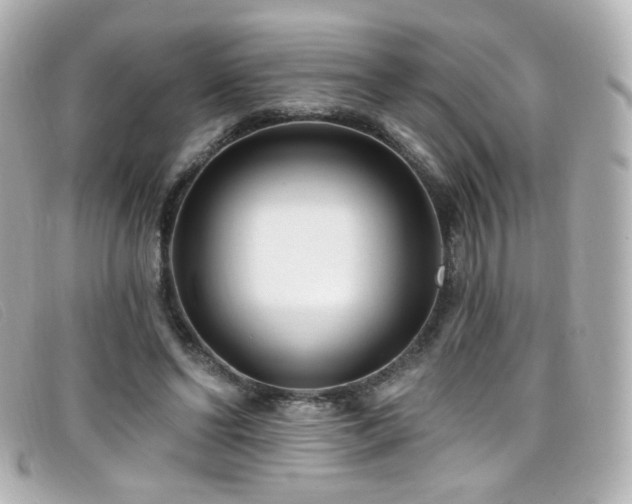 X0000099440494200805091316