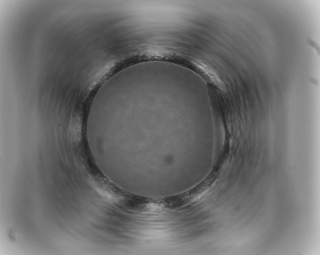 X0000099440496200805091316
