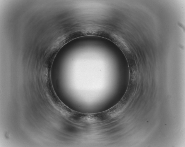X0000099440498200805091316