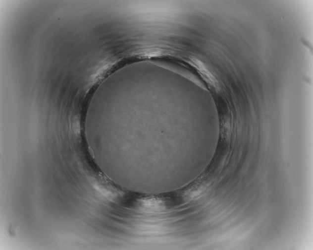 X0000099440500200805091315