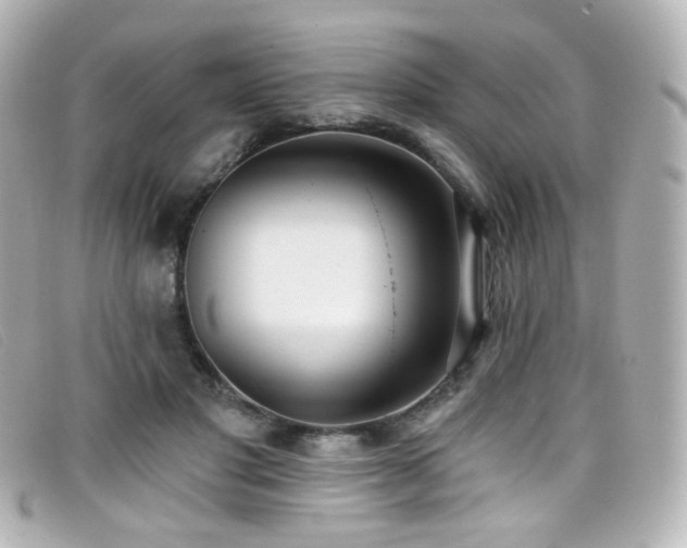 X0000099440501200805091315