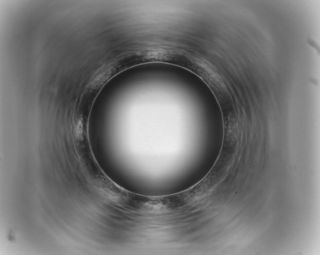 X0000099440502200805091315
