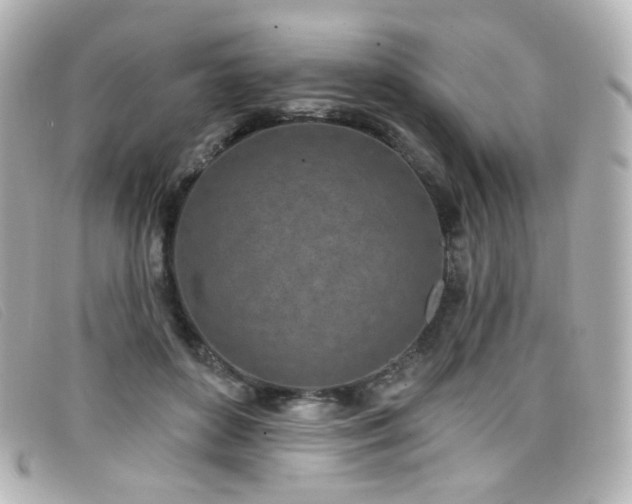 X0000099440504200805091315