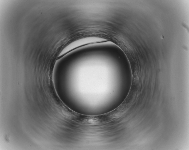 X0000099440506200805091315