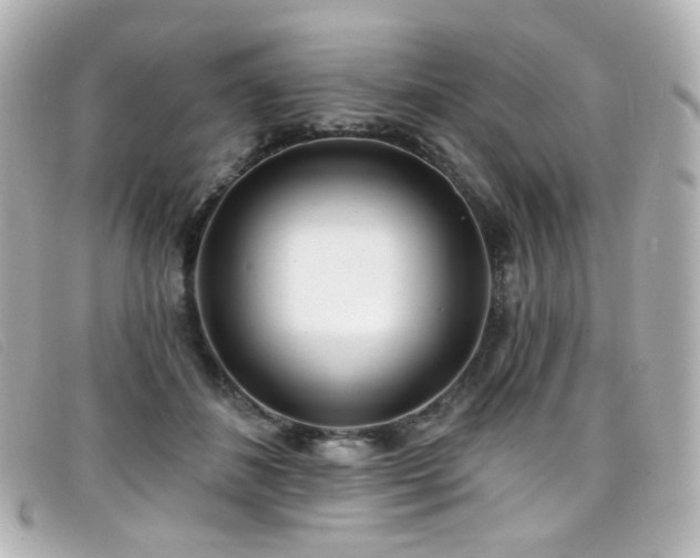 X0000099440508200805091315