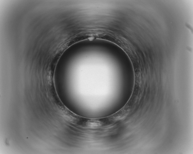 X0000099440510200805091315