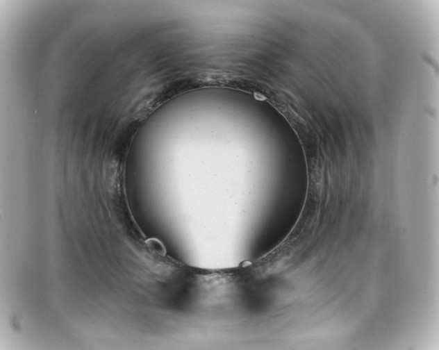 X0000099440511200805091315