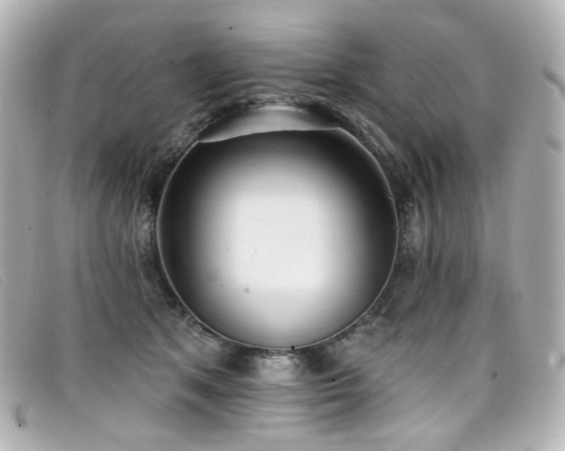 X0000099440513200805091315