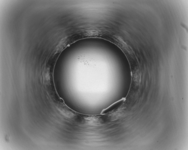X0000099440516200805091315