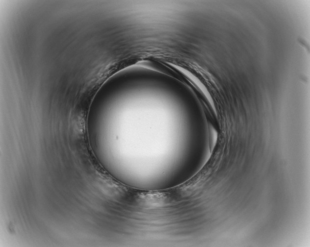 X0000099440517200805091315
