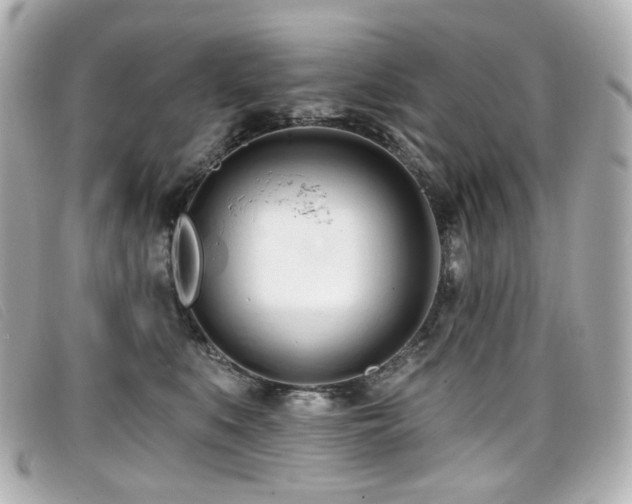 X0000099440519200805091315