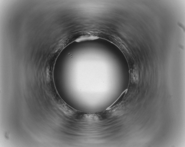 X0000099440520200805091315