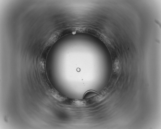 X0000099440522200805091315
