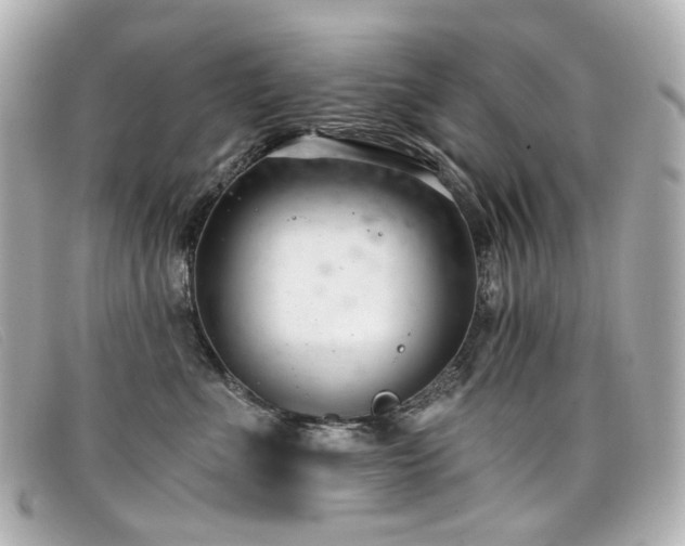 X0000099440523200805091315