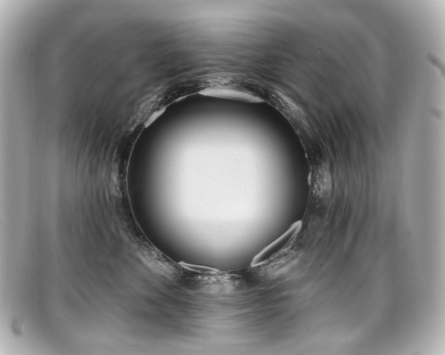 X0000099440524200805091315