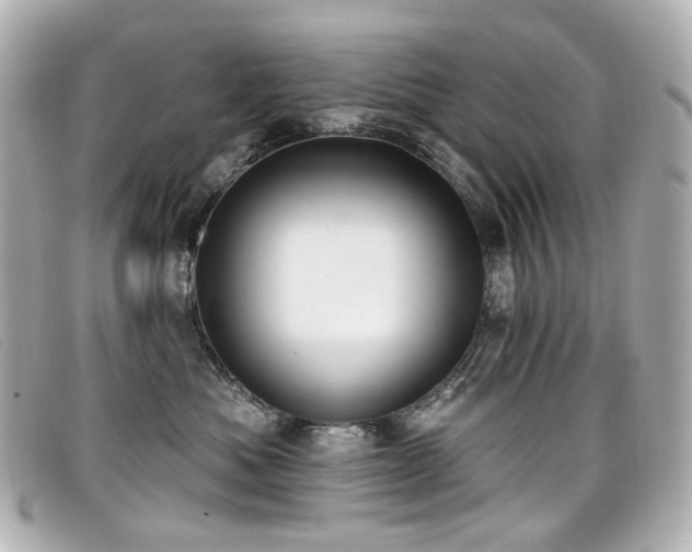 X0000099440525200805091315