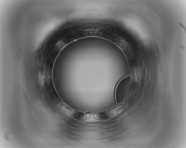 X0000099440526200805091315