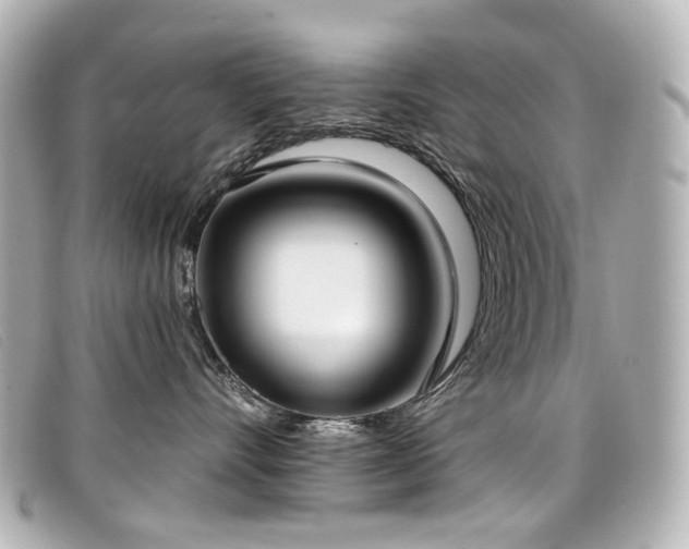 X0000099440528200805091315