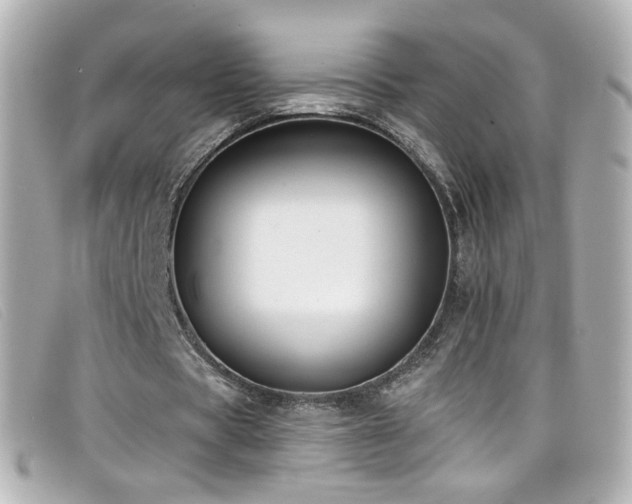 X0000099440529200805091314